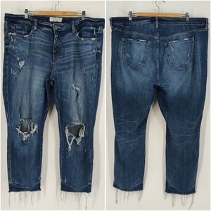 Torrid Blue Distressed Straight Leg Jeans
